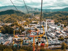 Spend A Day In Pigeon Forge? Here's How To Plan Your Trip Down To The Last Second!