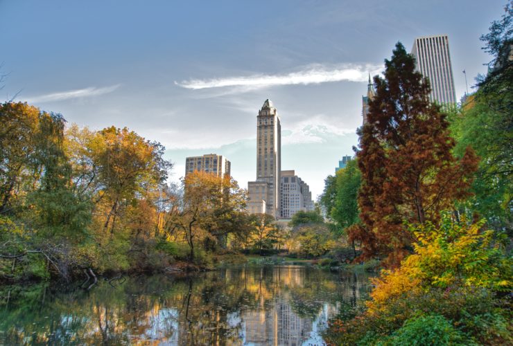 The Best Hotels Near Central Park, New York