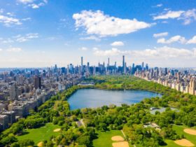 Central Park in New York: A Complete Guide