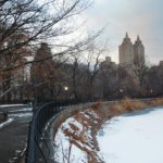 Things To Do In Winter In New York City