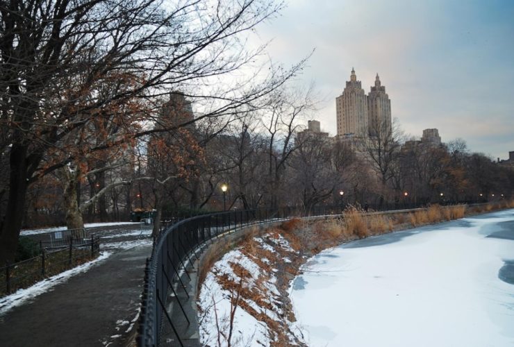 Things To Do In Winter In New York City